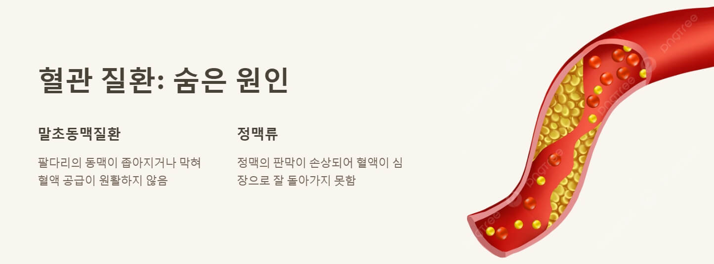 손발이 차가운 이유