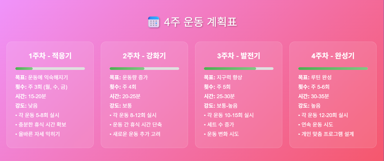 60대 운동 프로그램 4주 계획표를 보기 쉽게 정리한 인포그래픽