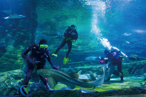 괌 여행 추천 괌 언더 워터 월드
