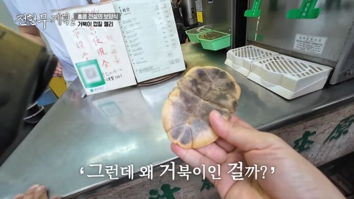 거북이-등껍질
