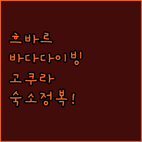 아이와 함께하는 흐바르 바다 다이빙 ..