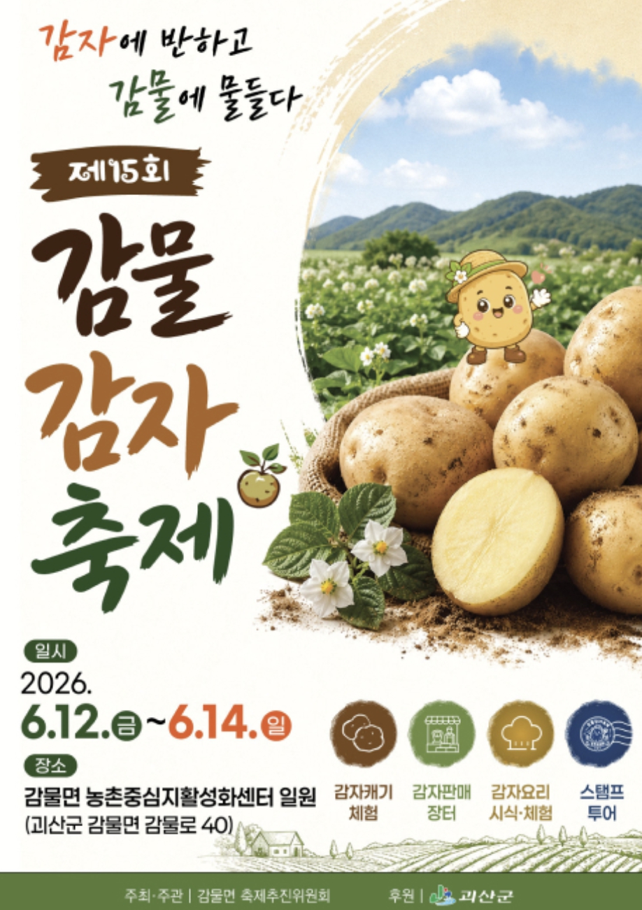 감물감자축제