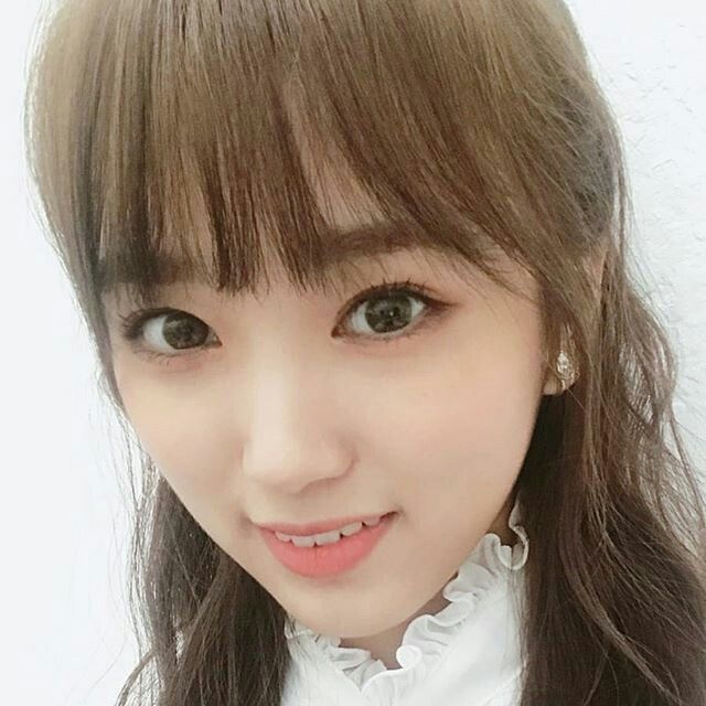 아이즈원 야부키나코 아이즈원 야부키나코