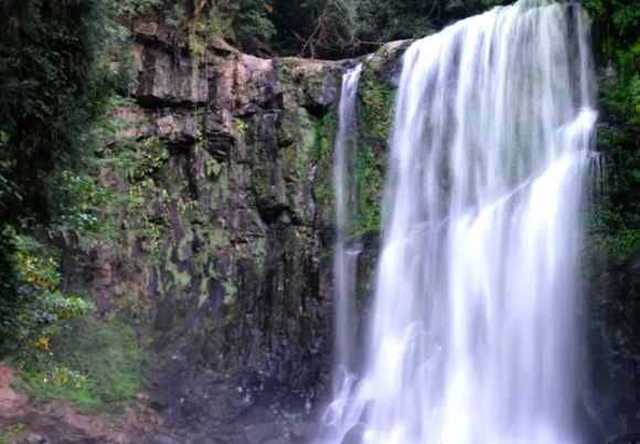 일정 지도 및 사쿠라폭포