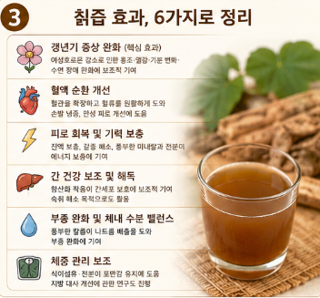 칡즙의효능-복용방법-효과-추천-생칡즙