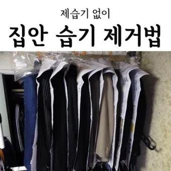 제습기 없이 습기 제거 끝 숯 염화칼슘 등 천연 제습제 활용법 완벽 가이드_15