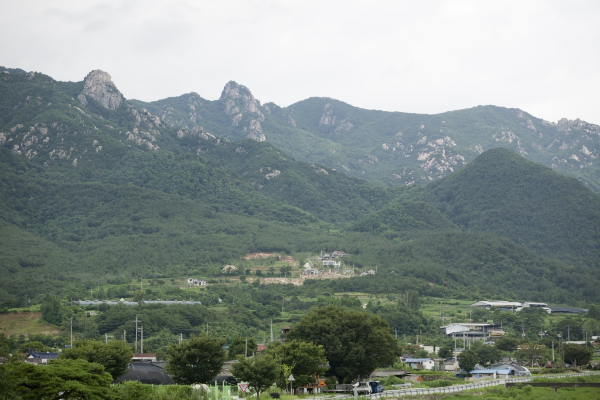 경상도 겨울 트레킹 추천 BEST 5 : 고요하고 깊은 남부의 겨울 숲길