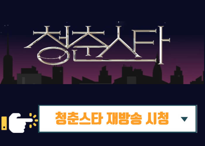 청춘스타-재방송-시청