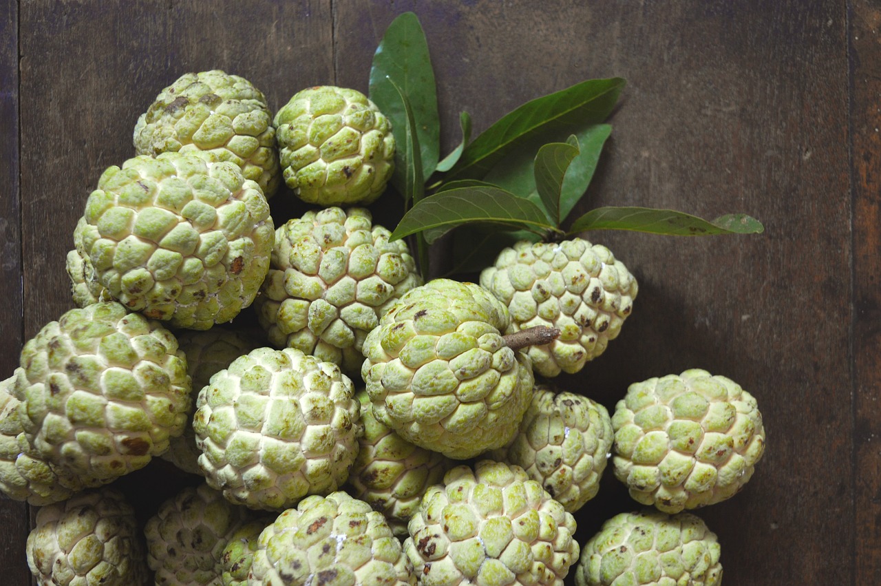 커스터드애플(Custard Apple)