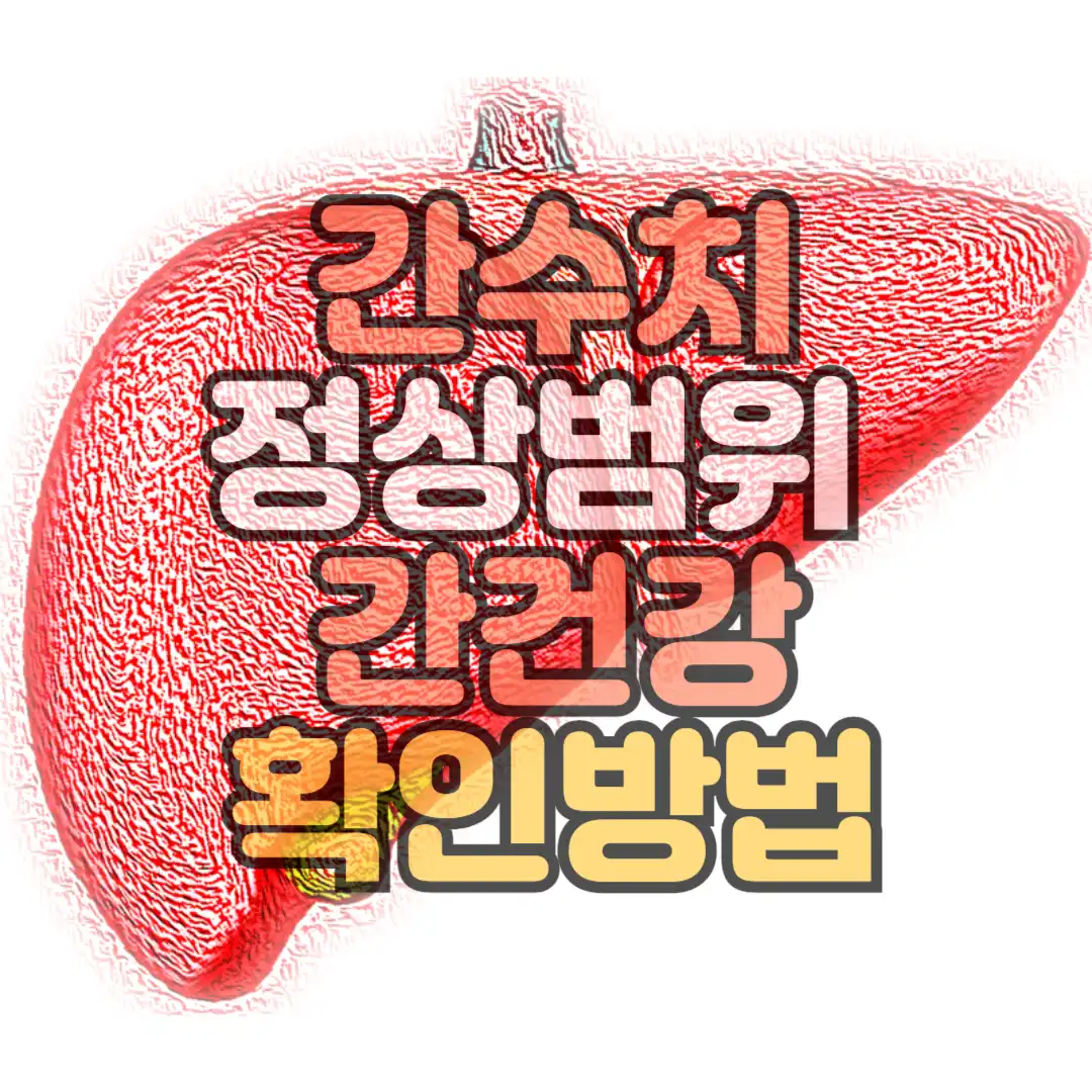간수치정상범위 간건강
