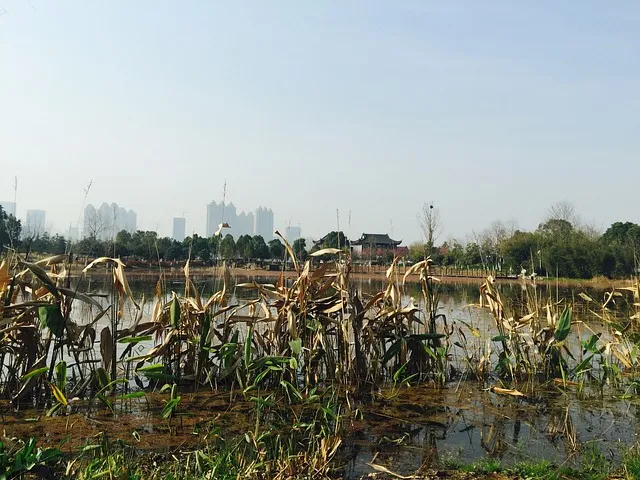 가을 여행지 베스트