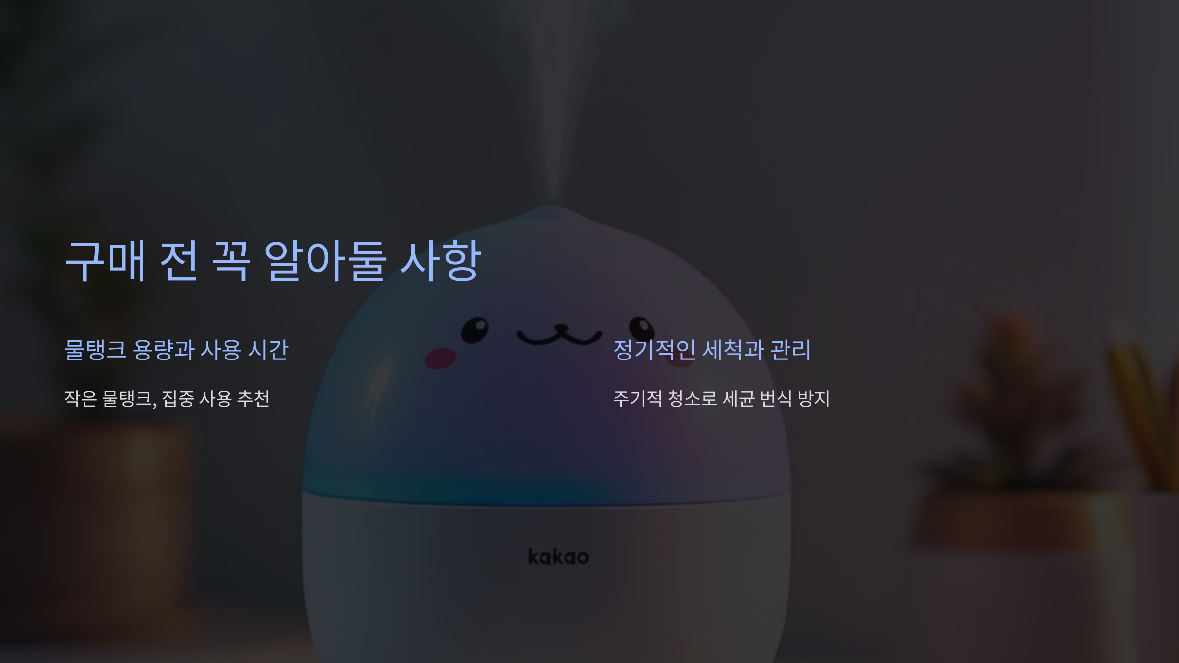 구매 전 꼭 알아둘 사항