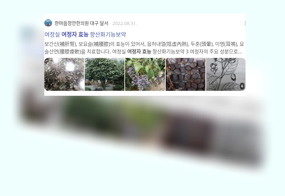 여정자 효능_2_subsection