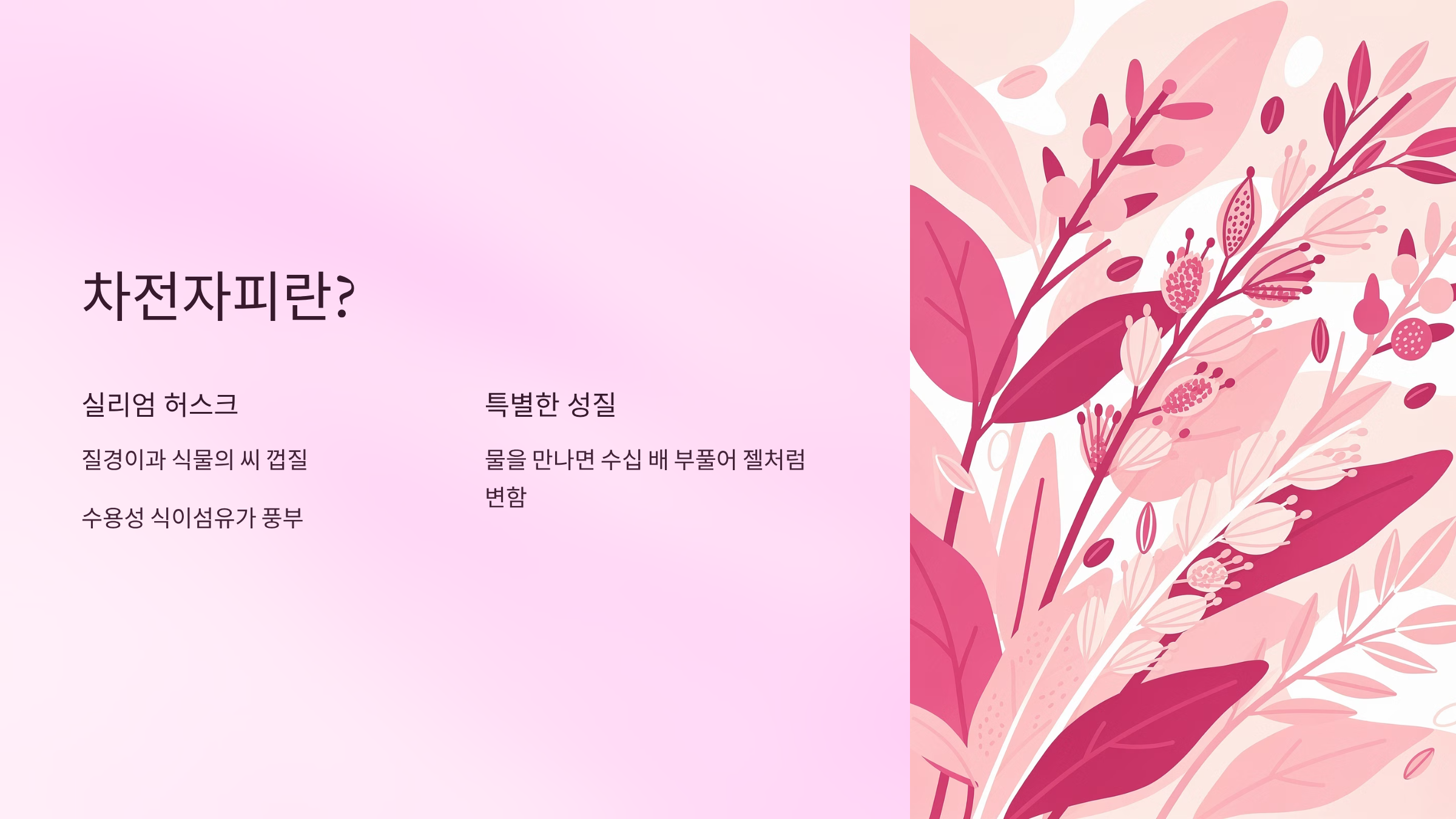 차전자피의 효능 A to Z – 차전자피 먹는법과 부작용 주의사항