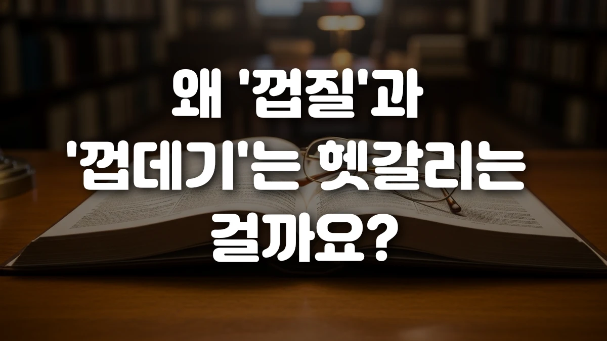 왜 껍질 과 껍데기 는 헷갈리는 걸까요