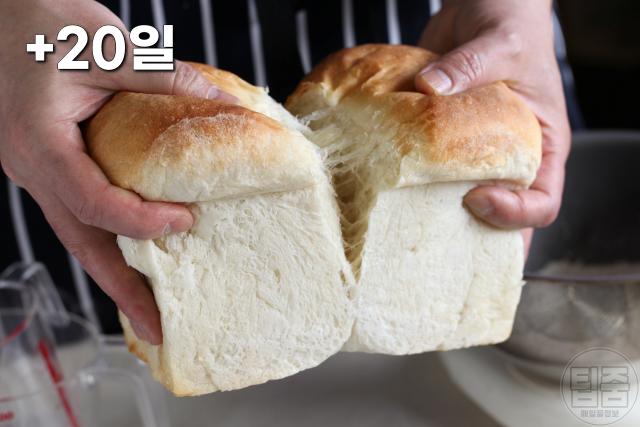 식빵 유통기한 지난거 먹어도 되나요,팁줌