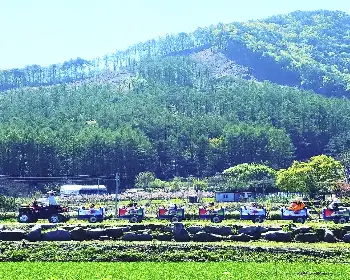 원주 용수골 가을꽃축제_6