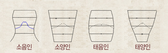 체질 별 체간 모양을 나타낸 그림