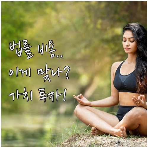 법률 서비스 가치 투자 적정 비용 판..