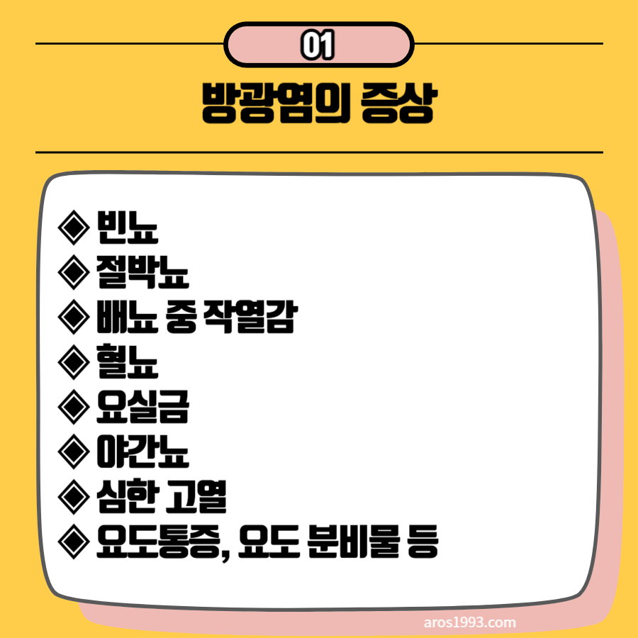 방광염 증상 및 치료방법(원인, 자연치료)