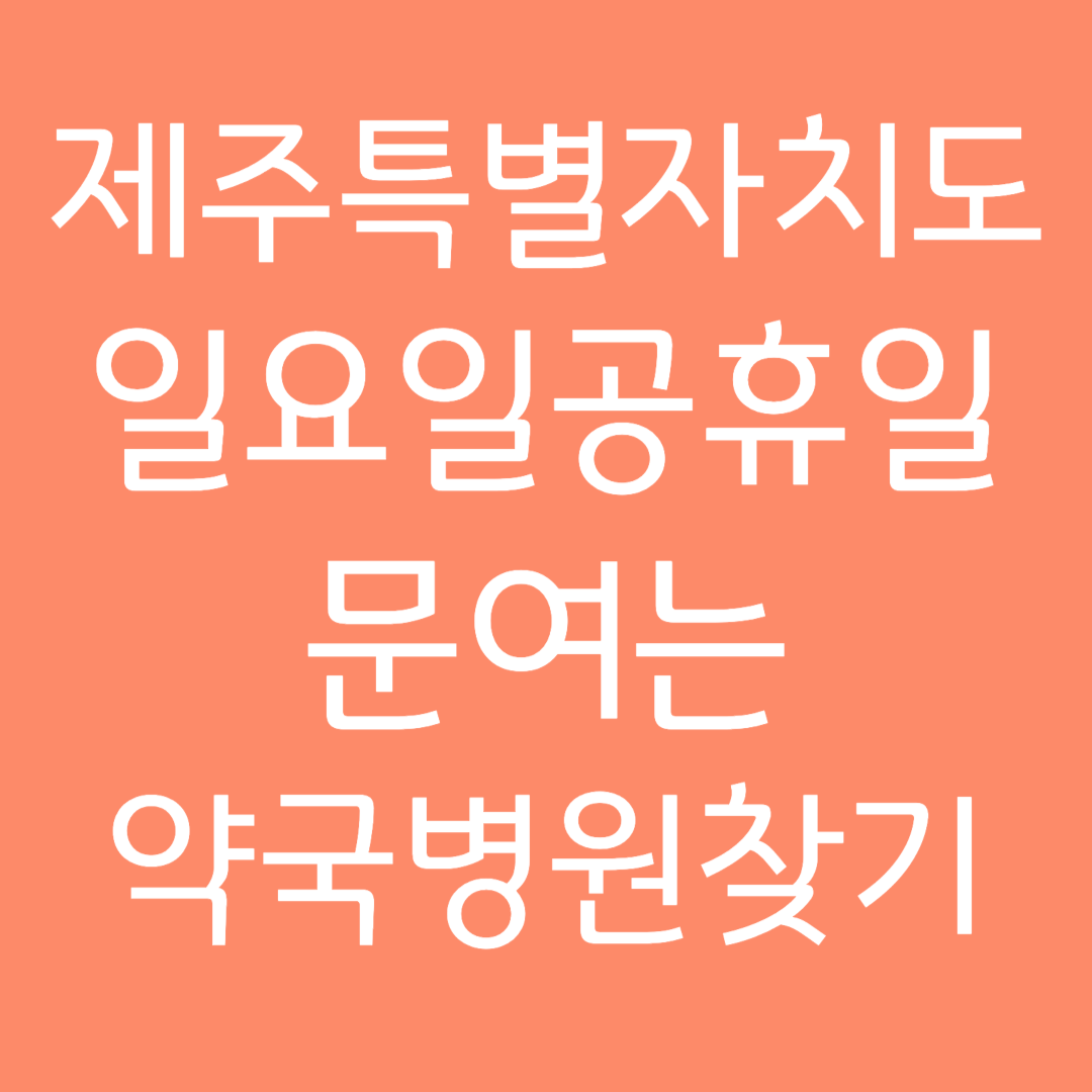 제주특별자치도 일요일 공휴일 문여는 병원 약국 찾기