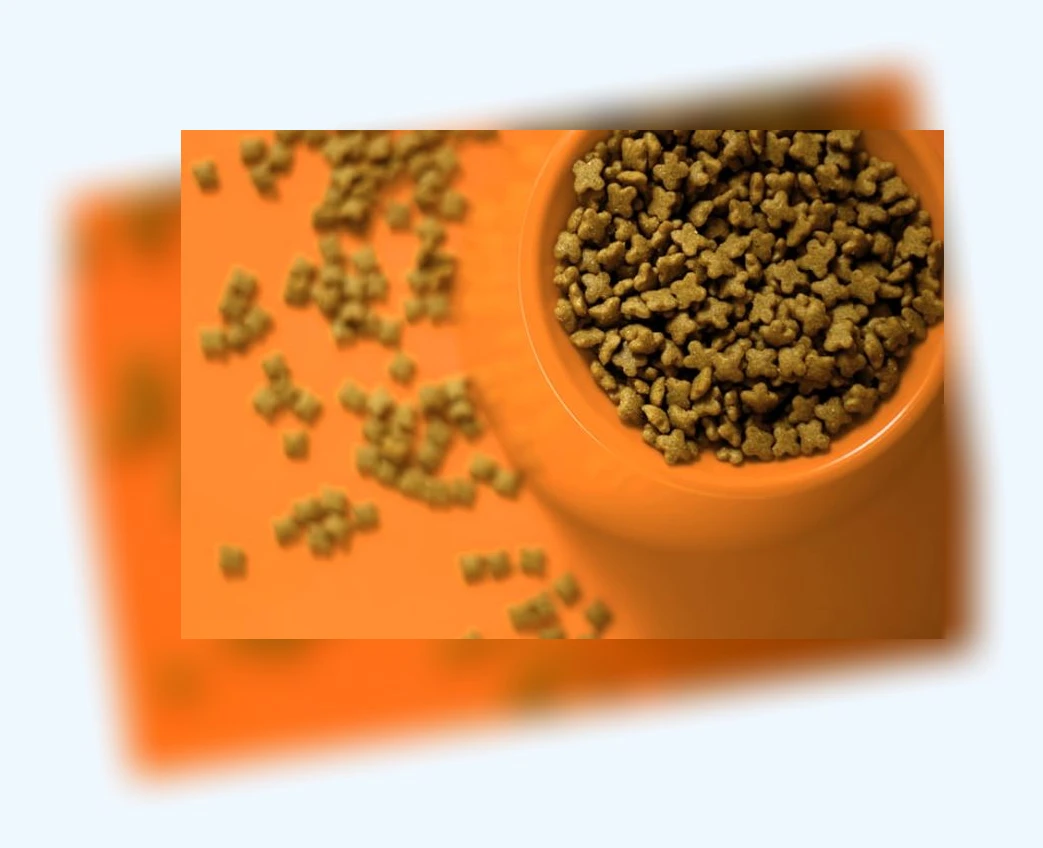 고양이 사료_3_subsection