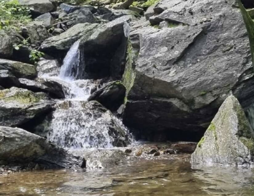 숲길 걷기 좋은 여행지 TOP 5 추천