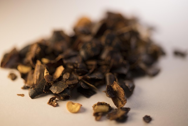 음식물처리기 지원금