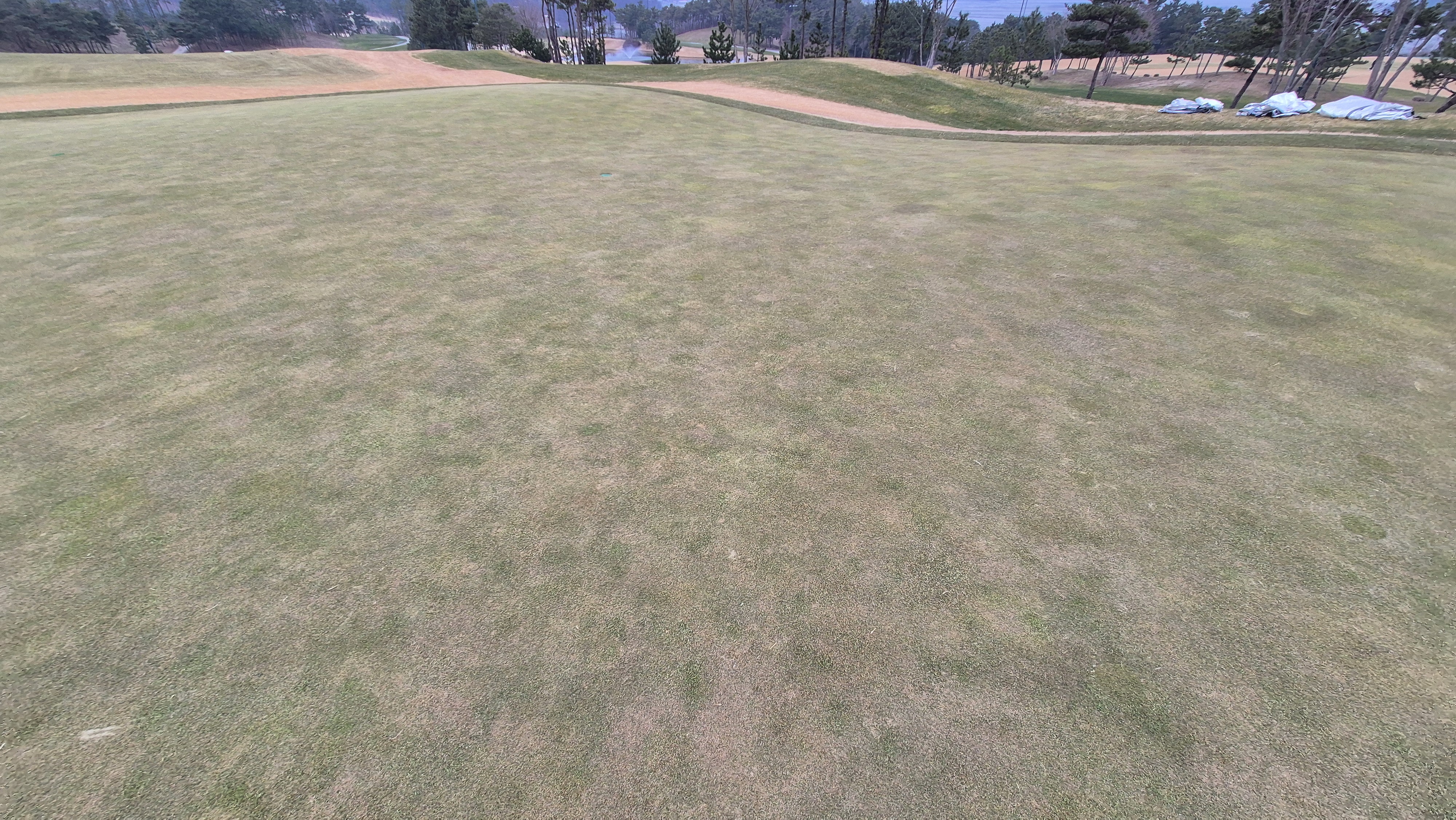 더헤븐cc 사우스-웨스트 코스 그린빠르기 및 난이도