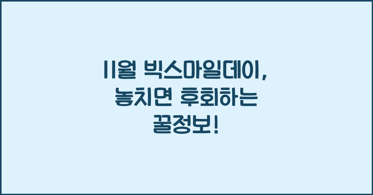 11월 빅스마일데이