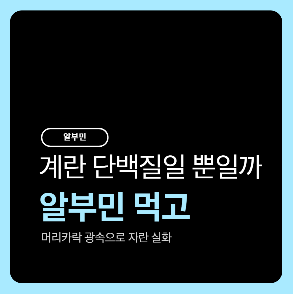 알부민 먹고 머리카락 광속으로 자란 실화