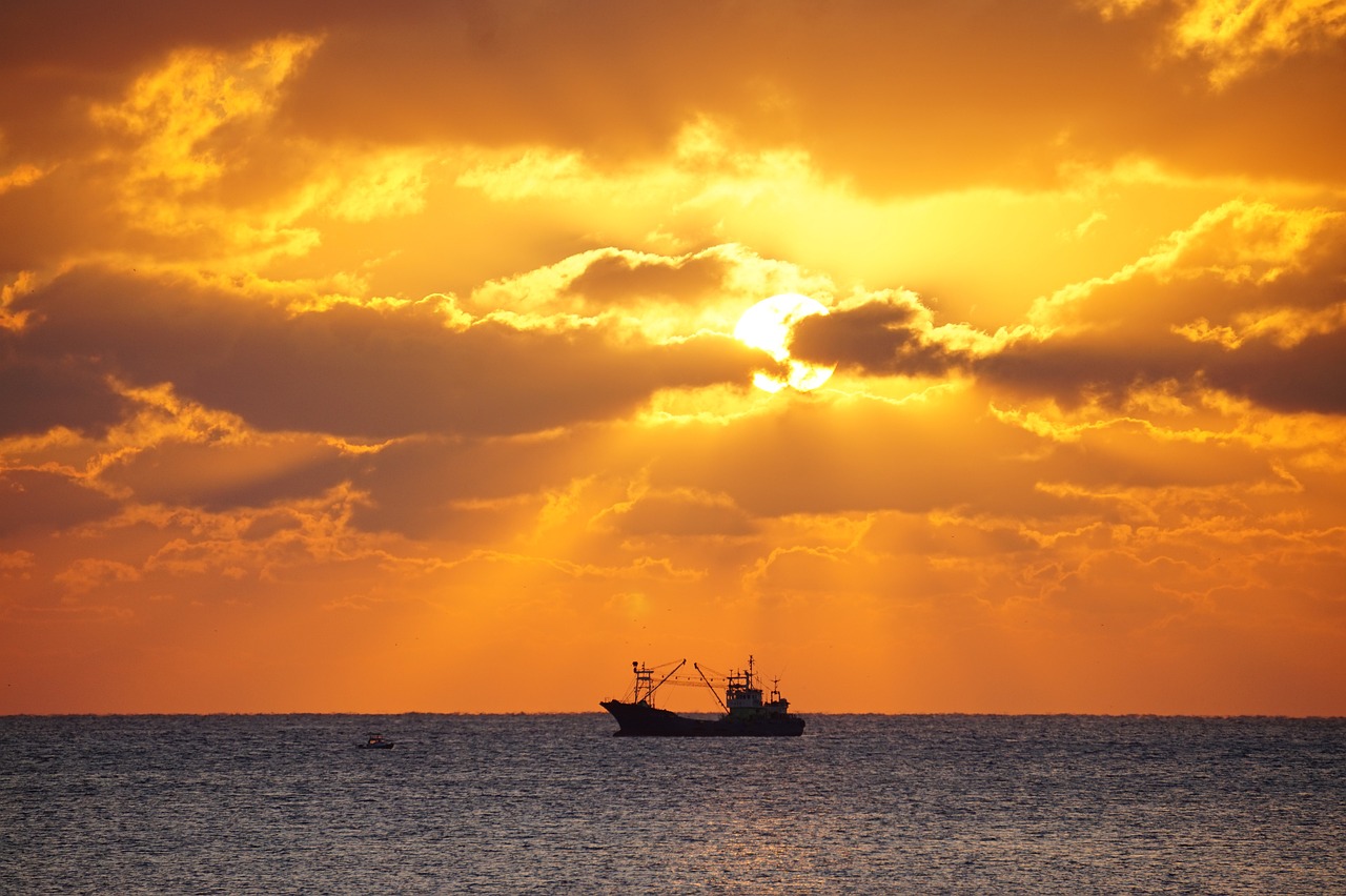 제주속으로 렌트카 후기