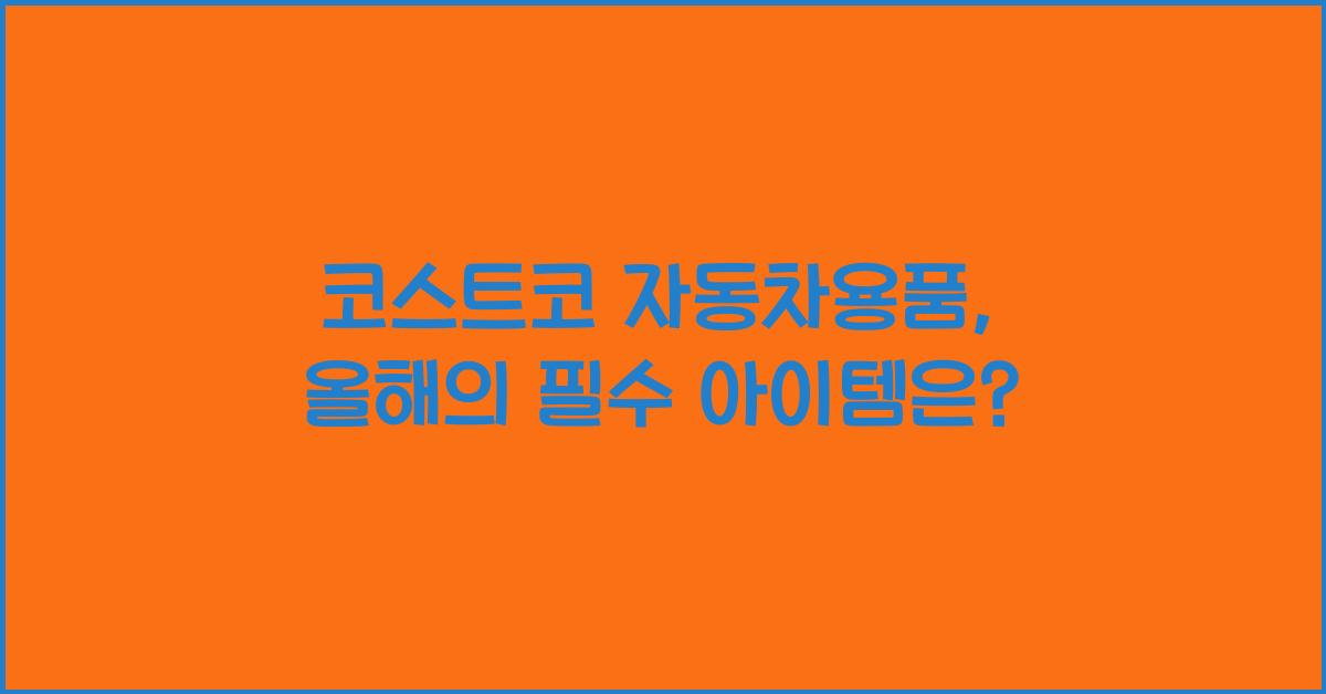 코스트코 자동차용품