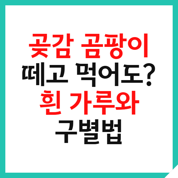 곶감 곰팡이 흰가루 구별법