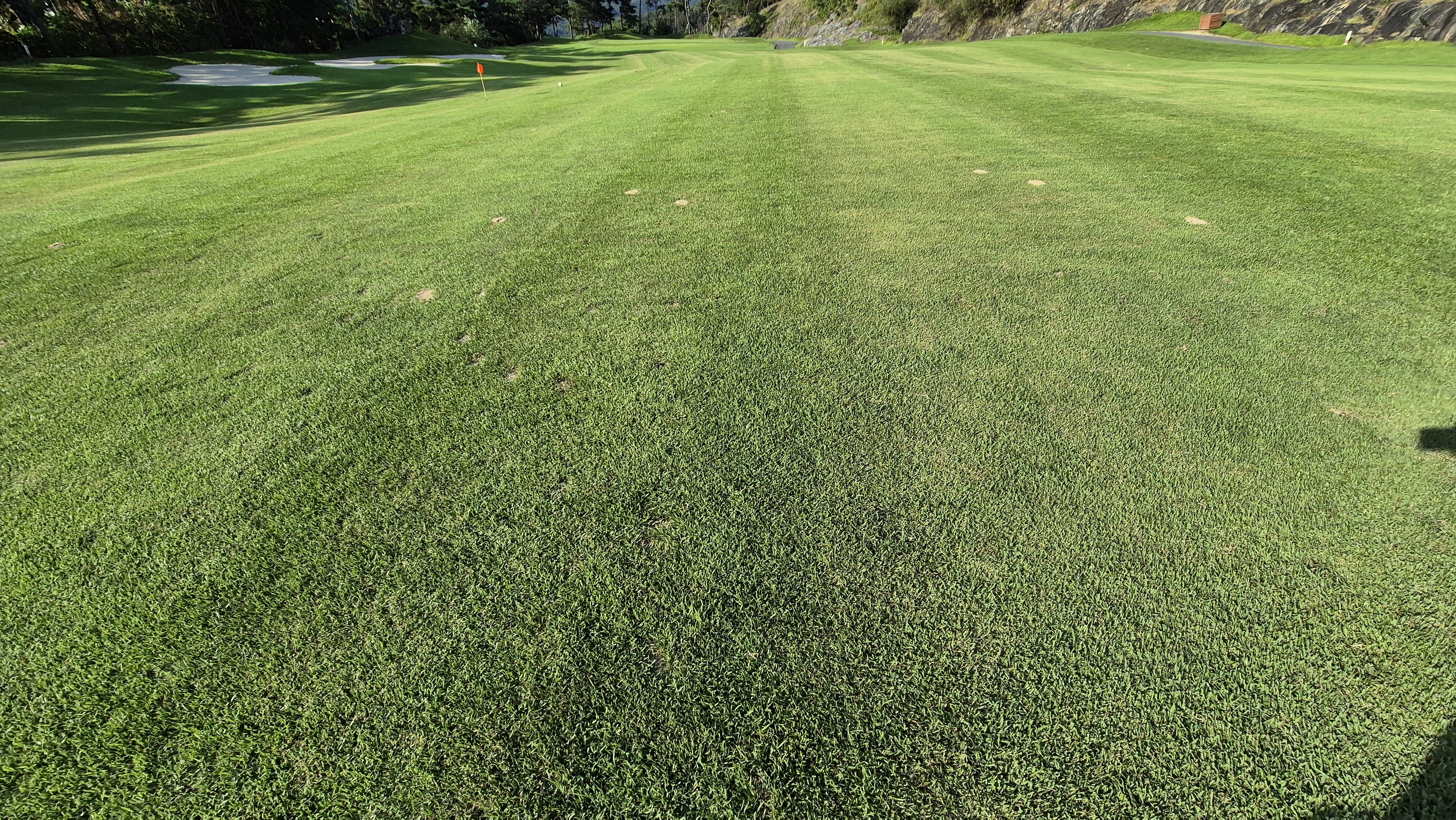 대영힐스cc 청-력 코스 라운드 후기