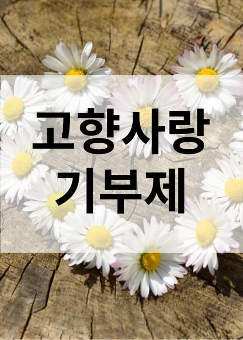 고향사랑기부제
