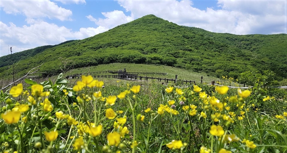 점봉산