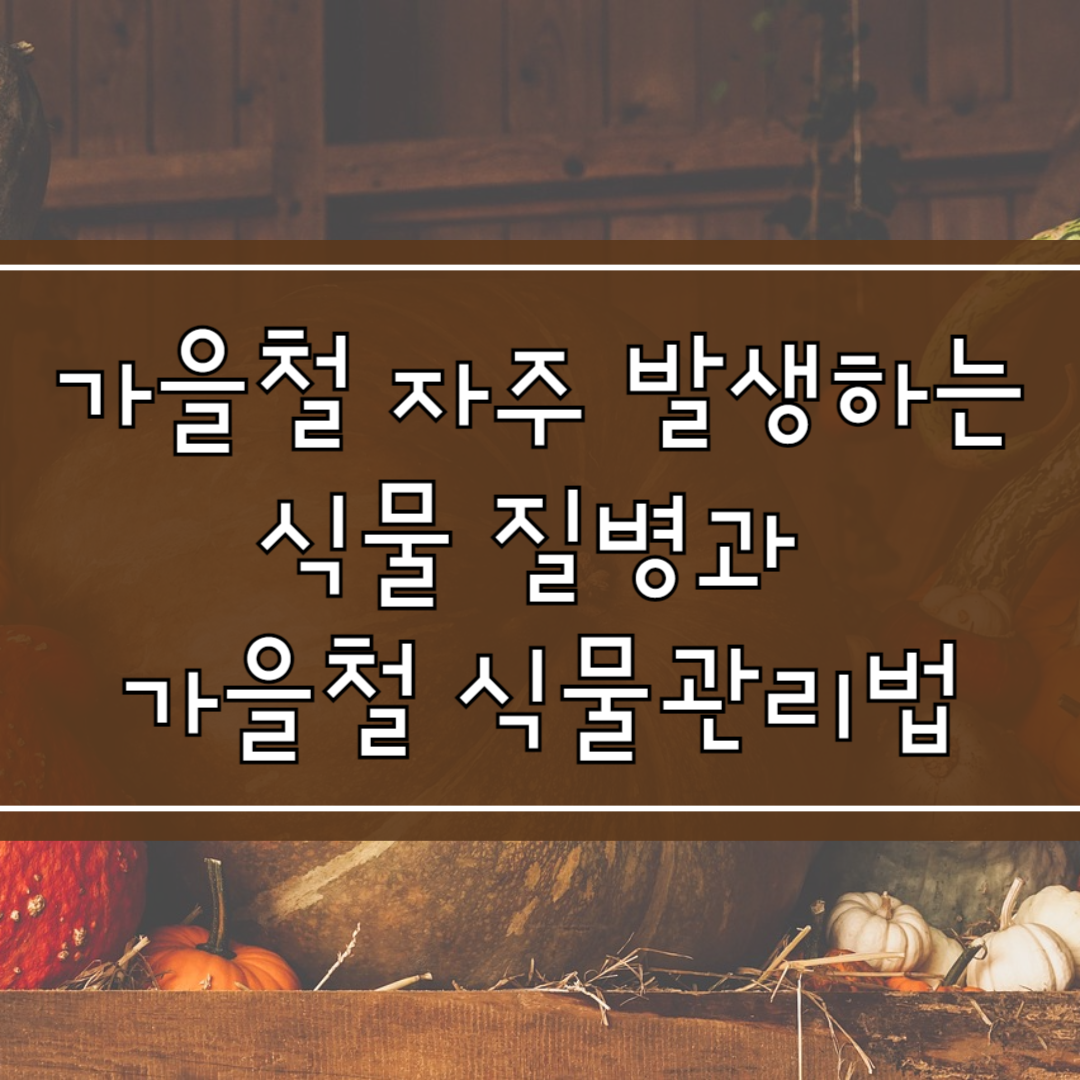 가을철 자주 발생하는 식물 질병과 관리법