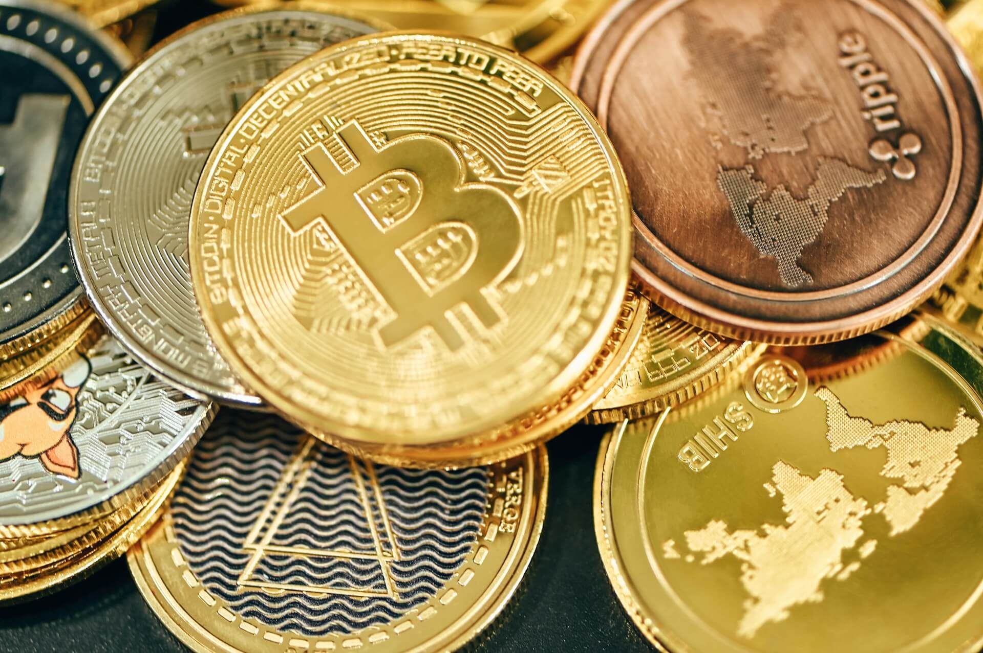 롯데마트 상품권 100% 활용 가이드