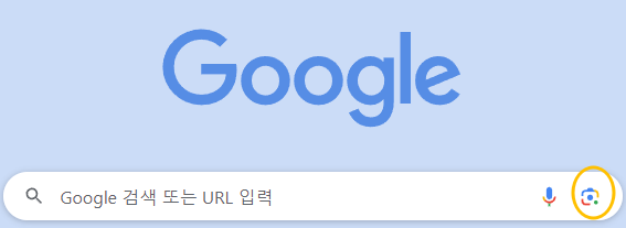 구글꽃검색