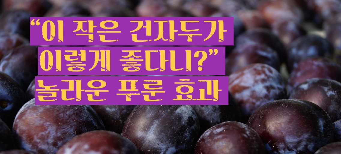 푸룬 건자두 효능 부작용
