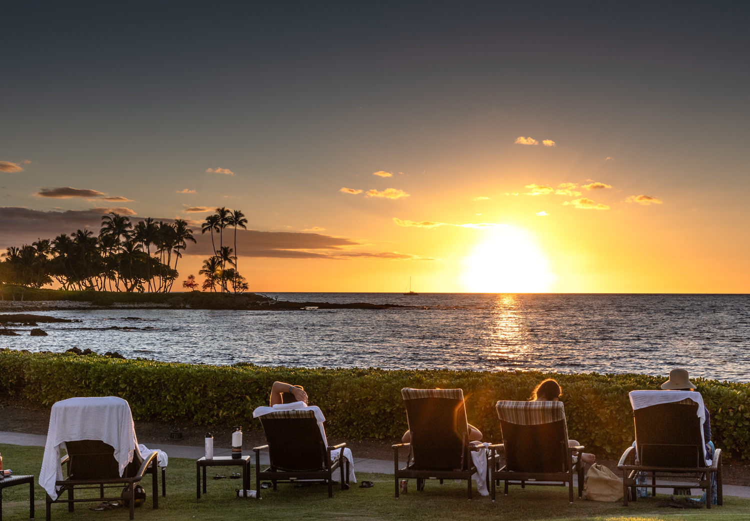 빅아일랜드 페어몬트오키드