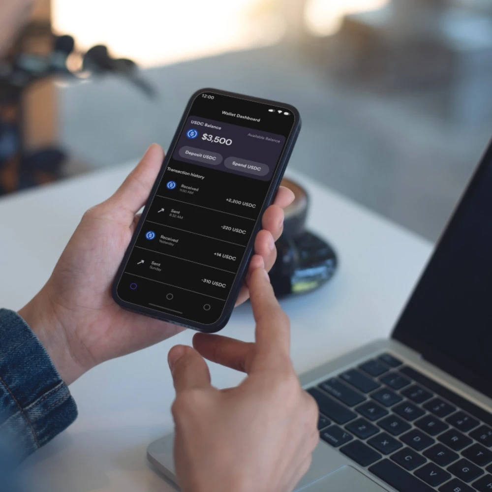 서클 스테이블 코인 분석