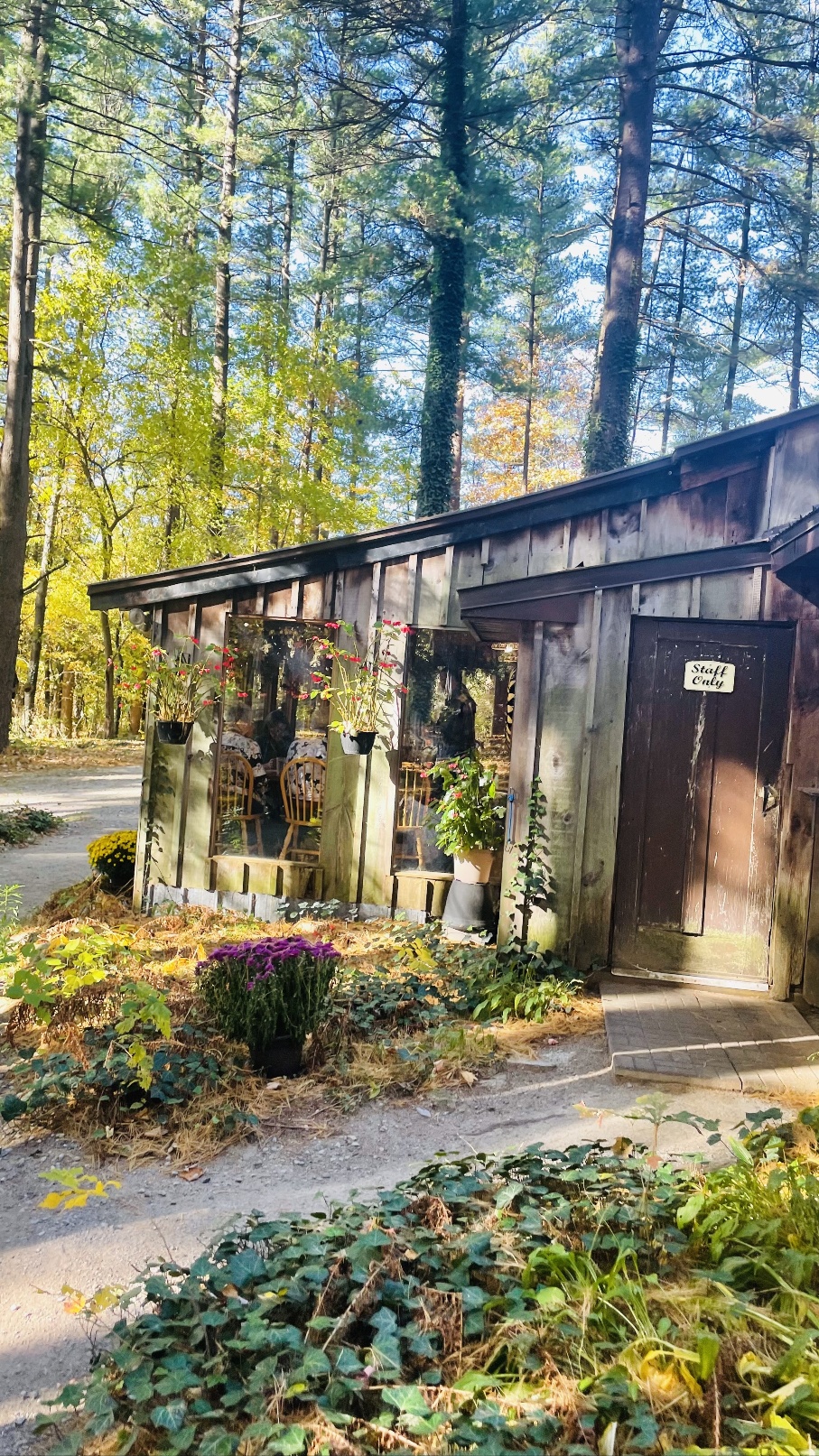 The Green Frog Tea Room