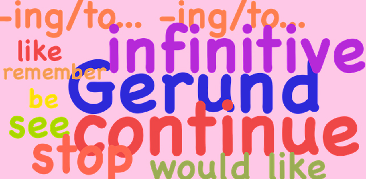 영어 관련 사진