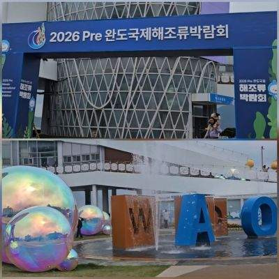 2026 Pre 완도 국제 해조류박람회 일정 및 주요 프로그램 총정리: 전복 쿠션부터 바다 식목일까지