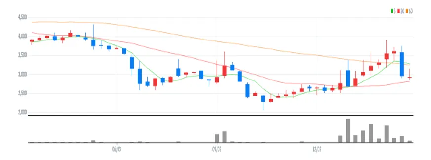 아이즈비전 주봉