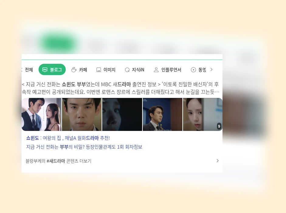 쇼윈도 부부 드라마_1_subsection