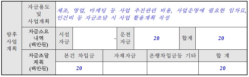 저신용 직대 사업계획서 자금 용도 작성 예시