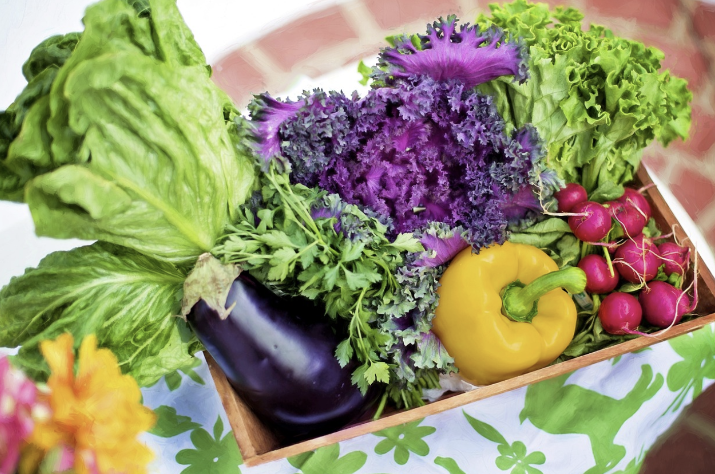 영양소 별 균형 잡힌 식사